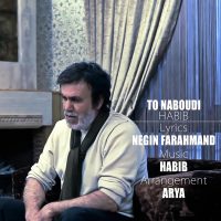 دانلود آهنگ حبیب به نام تو نبودی