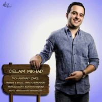 دانلود آهنگ محمد زارع به نام دلم میخواد