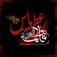 دانلود آهنگ سید حمیدرضا امین عطر یاس