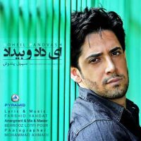 دانلود آهنگ سهیل پندوش ای داد و بی داد