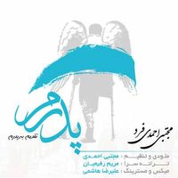 دانلود آهنگ مجتبی احمدی فرد پدرم