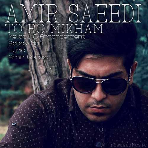 https://www.topseda.org/wp-content/uploads/2014/07/Amir-Saeedi---Toro-Mikham.jpg