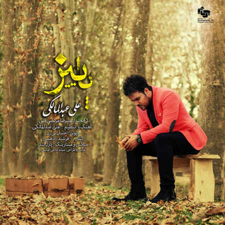https://www.topseda.org/wp-content/uploads/2014/10/Ali-Abdolmaleki---Paeiz.jpg