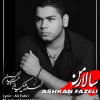 دانلود آهنگ جدید اشکان فاضلی به نام سالار من
