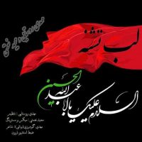 دانلود آهنگ جدید مهدی روستایی و مجید نعمتی به نام لب تشنه