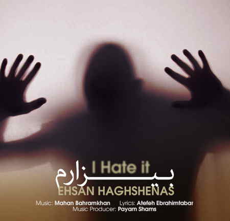 https://www.topseda.org/wp-content/uploads/2014/12/Ehsan-Haghshenas---Bizaram.jpg