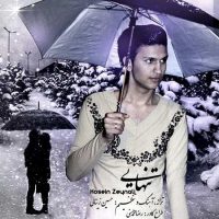 دانلود آهنگ و دکلمه جدید حسین زینالی به نام تنهایی