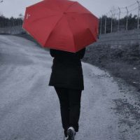 دانلود آهنگ سینا دارابی به نام شاید برگردی دوباره