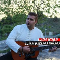 دانلود آهنگ مهدی محبی به نام نمیشه که بری و نبینی