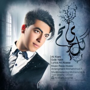 دانلود آهنگ علی کیانی به نام گل یخ