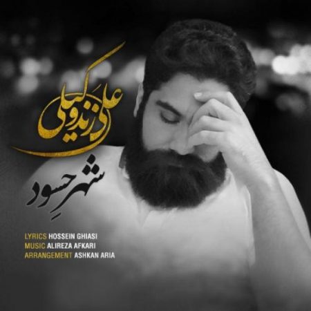 دانلود آهنگ علی زند وکیلی به نام شهر حسود