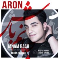 دانلود آهنگ آرون افشار به نام جانم باش