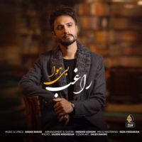 دانلود آهنگ راغب به نام بی هوا