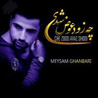 دانلود آلبوم میثم قنبری چه زود عوض شدی