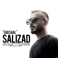 دانلود آهنگ سلیزاده صد سال