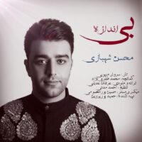 دانلود آهنگ محسن شهبازی بی اندازه