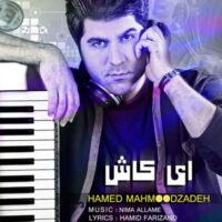 دانلود آهنگ حامد محمودزاده ای کاش