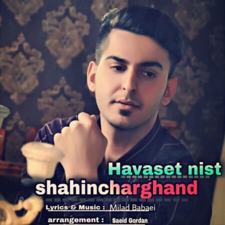 دانلود آهنگ شاهین چرغند هواست نیست
