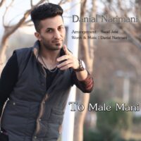 دانلود آهنگ دانيال نريمانی به نام تو مال منی