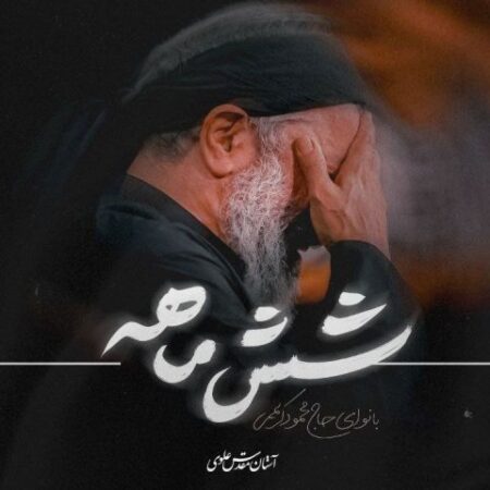 دانلود مداحی حاج محمود کریمی شش ماهه