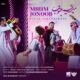 دانلود موزیک ویدئو بابک جهانبخش میریم جنوب ( اجرای کنسرت)