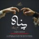 دانلود آهنگ محسن چاوشی پناه دانلود آهنگ محسن چاوشی پناه
