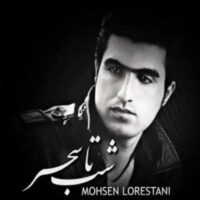 دانلود آهنگ محسن لرستانی شب تا سحر