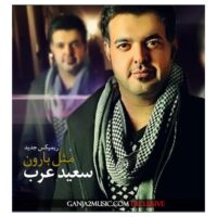 دانلود آهنگ سعید عرب مثل بارون (رمیکس)