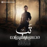 دانلود آهنگ محسن ابراهیم زاده تب‎