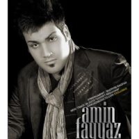 دانلود آهنگ امین فیاض دوست ندارم