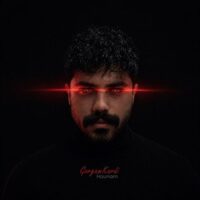 دانلود آهنگ هونام گرگم کردی