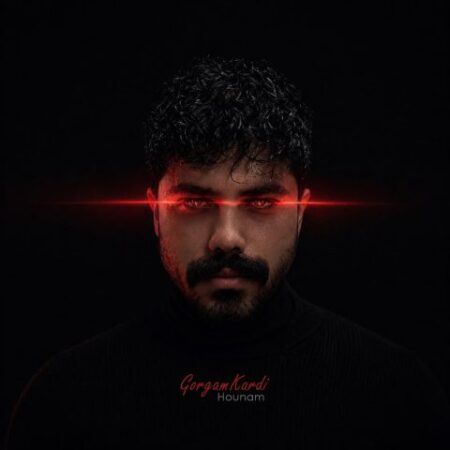 دانلود آهنگ هونام گرگم کردی
