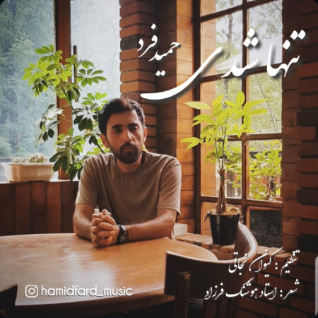 دانلود آهنگ حمید فرد تنها شدی (دلی)